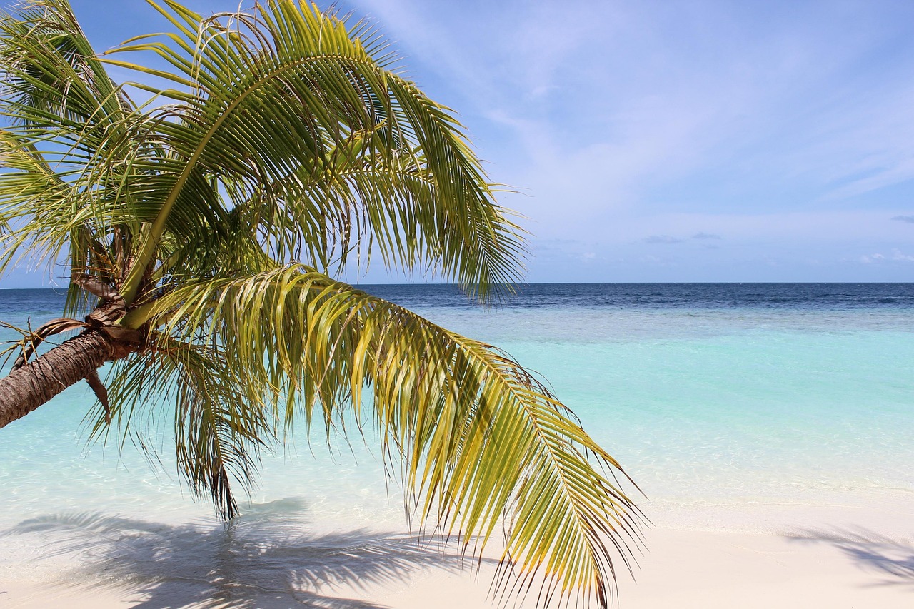 affordable-secure-expat-tax-prep